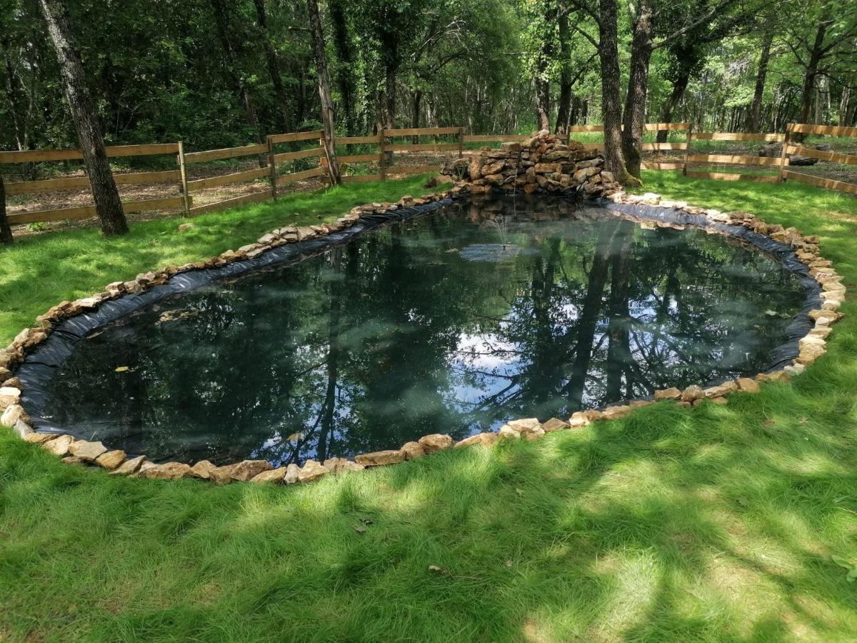 7-Gite-7 Personnes Au Coeur De La Nature /Piscine Saint-Aubin-de-Nabirat Bagian luar foto